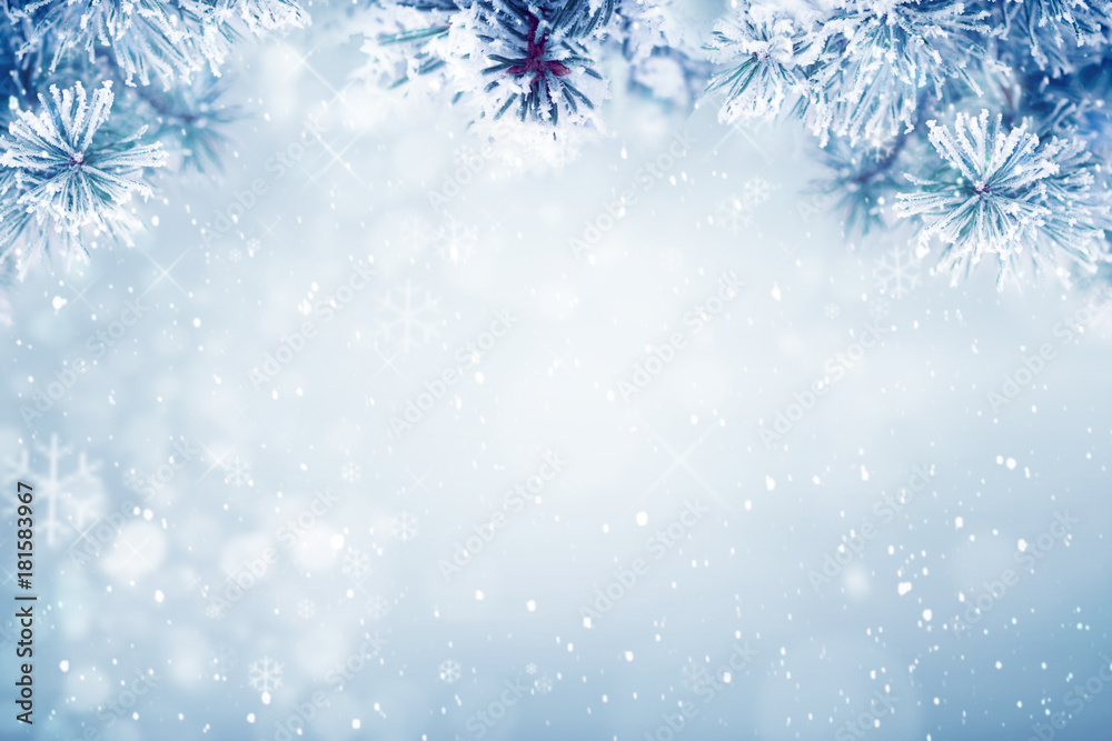 冬季背景，落在松树树枝上的雪复制空间，圣诞节假期背景