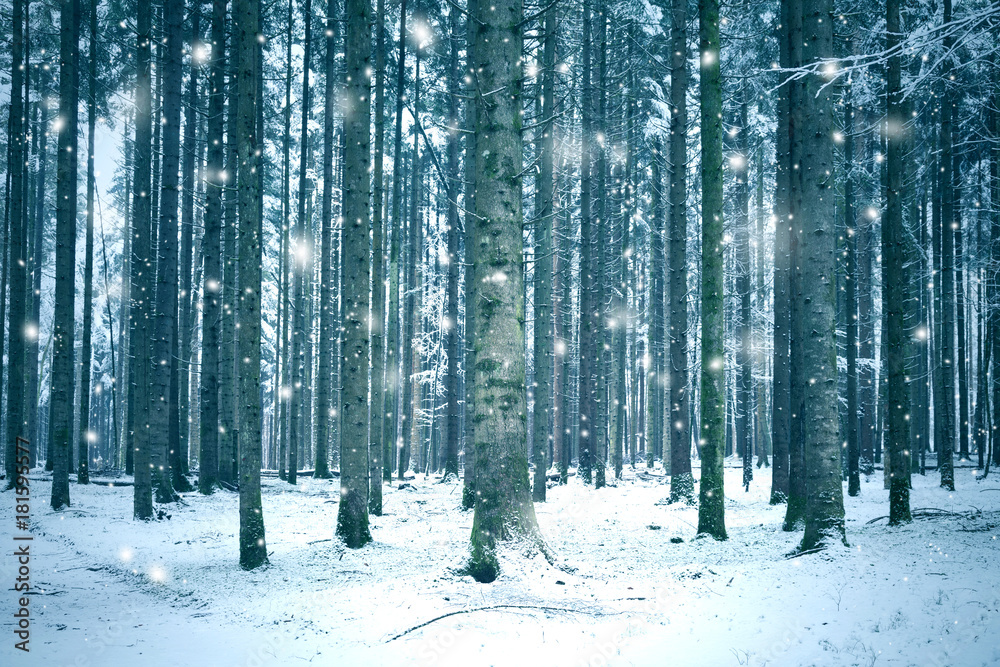 冬季森林景观与抽象的雪花。