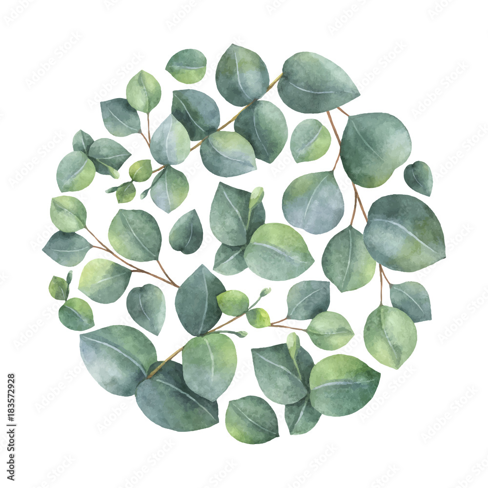 Watercolor vector card with green eucalyptus leaves and branches.