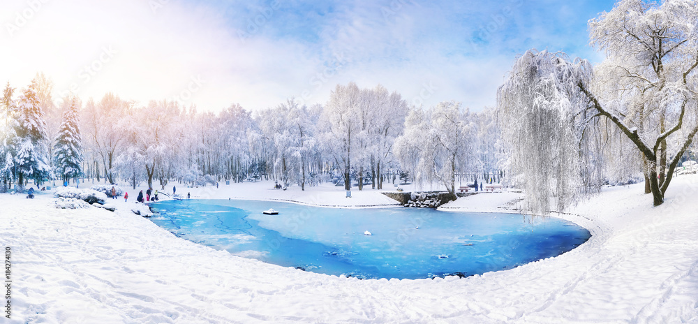 阳光明媚的森林公园里冬天结冰的冰湖，蓝天尽收眼底