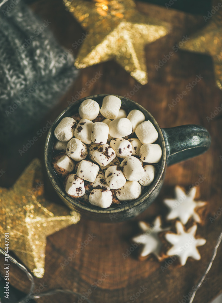 圣诞或新年冬季热巧克力配棉花糖和姜饼饼干，配木蟒蛇