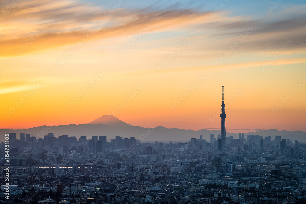 美丽的东京日落城市景观、东京天树地标和冬季日落的富士山