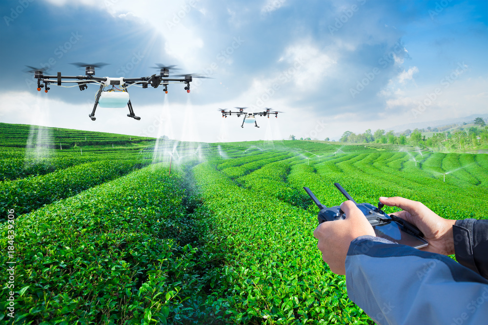 农业无人机在绿茶地上喷洒肥料，智能农场4.0概念