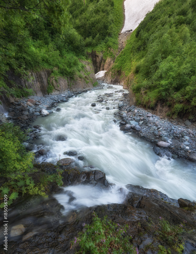 峡谷中的河流。夏季的自然景观
