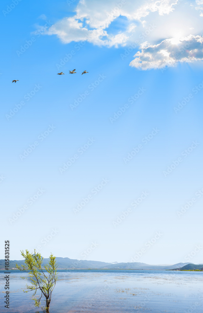 野鸭飞越湛蓝天空的湖面
