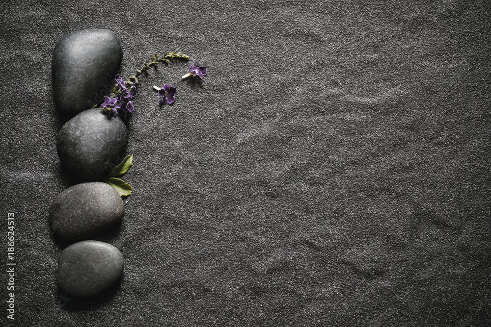 黑色的石头，绿色的叶子和小的石头板背景上可爱的紫色花朵装饰wi