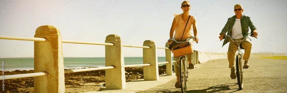 快乐的休闲情侣在码头上骑自行车