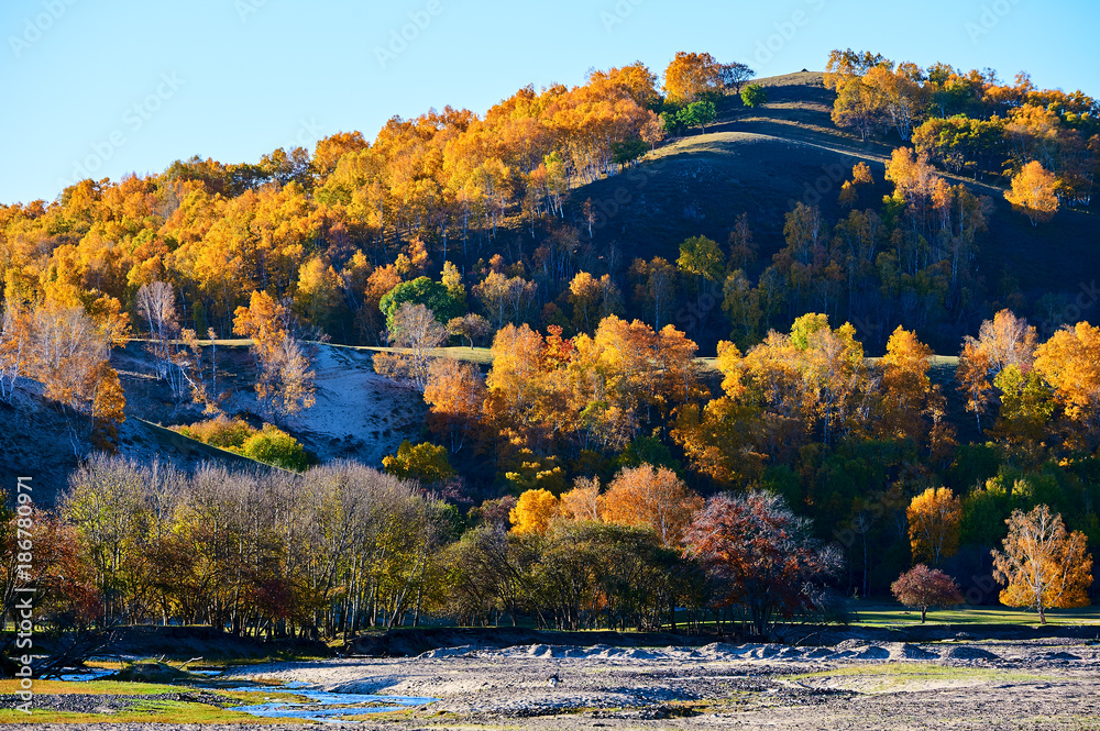 The valley autumn landscape.