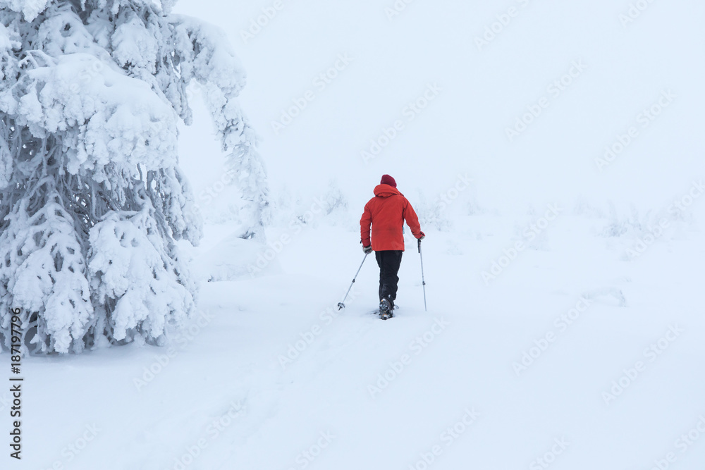 一个穿着暖和的女人在寒冷的冬日穿着雪地鞋在新鲜的白色北极雪地里徒步旅行。