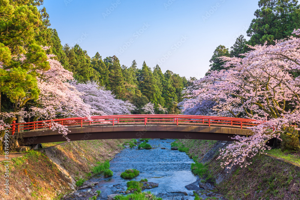日本的春天