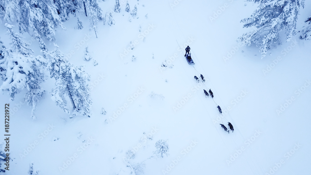 游客在芬兰拉普兰白雪皑皑的北极冬季玩狗拉雪橇的鸟瞰图。Riisit