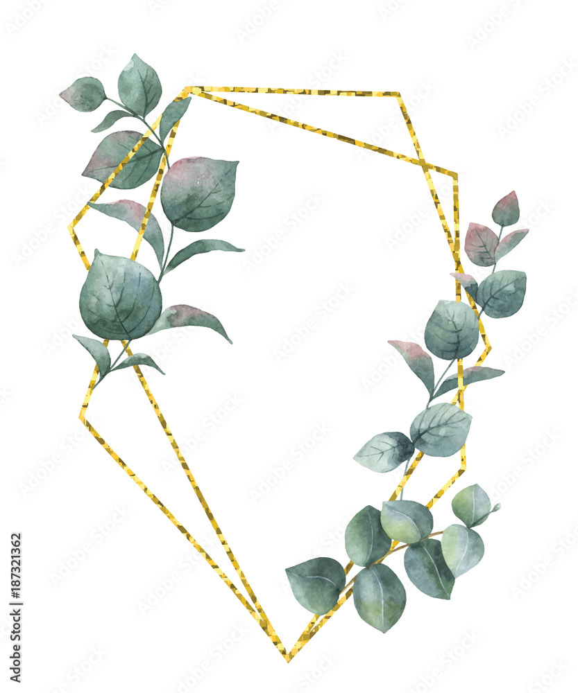 水彩矢量构图来自桉树的枝条和金色的几何框架。