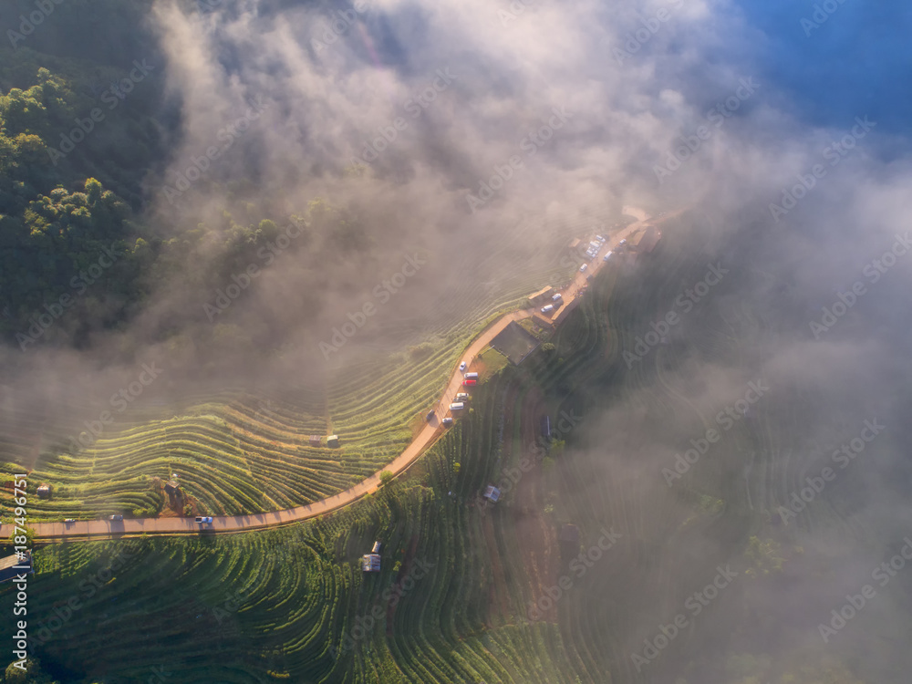 2000年茶园俯视图和Chaing Doi Ang Khang山上漂浮的薄雾