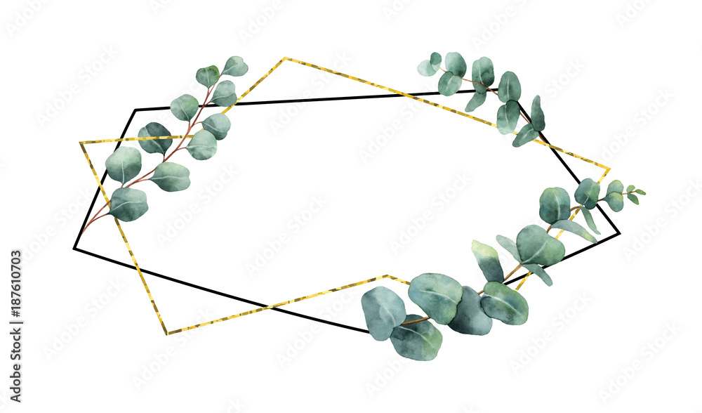 水彩矢量构图来自桉树的枝条和几何框架。