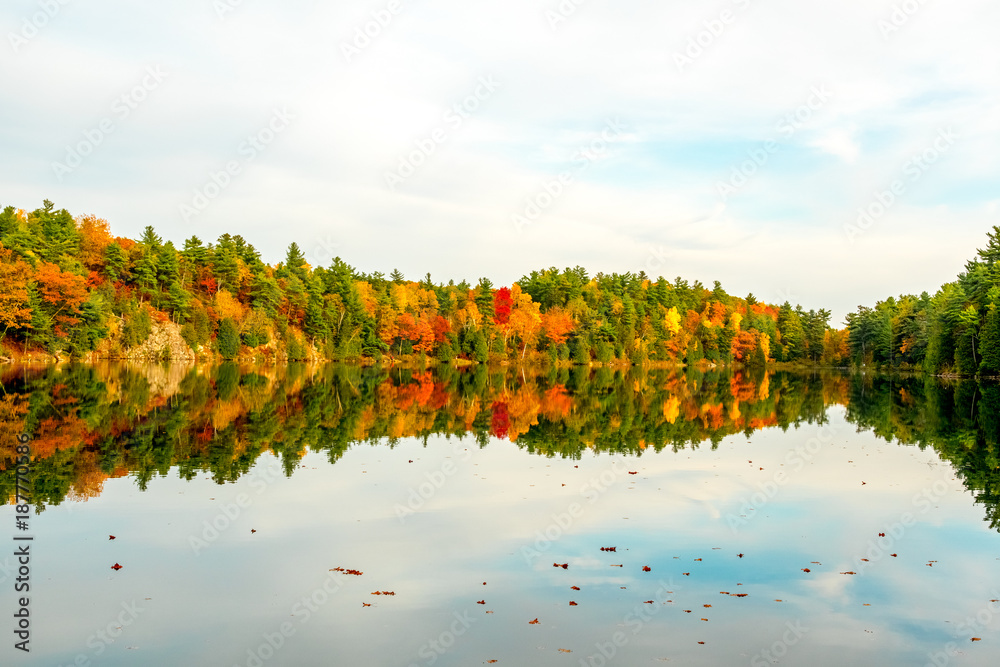 加拿大魁北克盖特瑙-2017年10月21日：渥太华价值观秋景