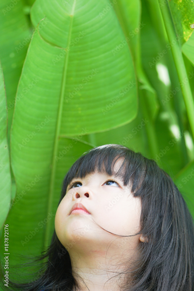 小女孩抬头看着绿叶。亚洲小学生的快乐画像。