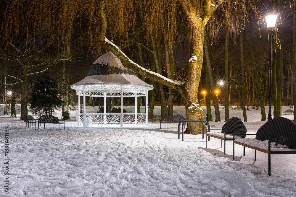 波兰黄昏公园里的雪冬