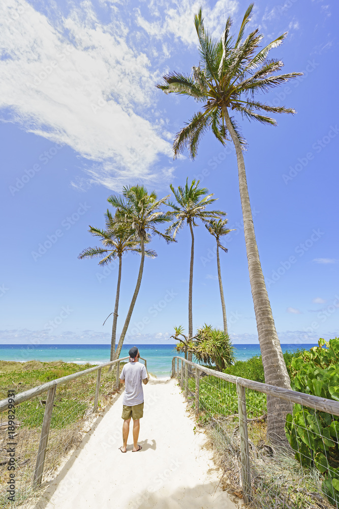 棕榈树排列在澳大利亚昆士兰黄金海岸主海滩的海滩步道上。