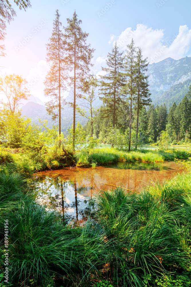 Amazing sunny summer day on the Hintersee lake in Austrian Alps, Europe. Landscape photography