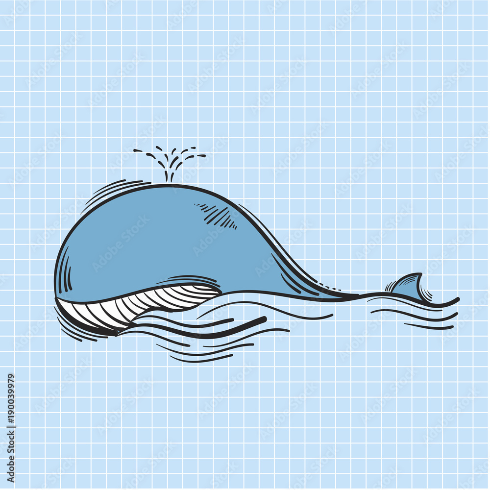 Illustration of blue whale swimming