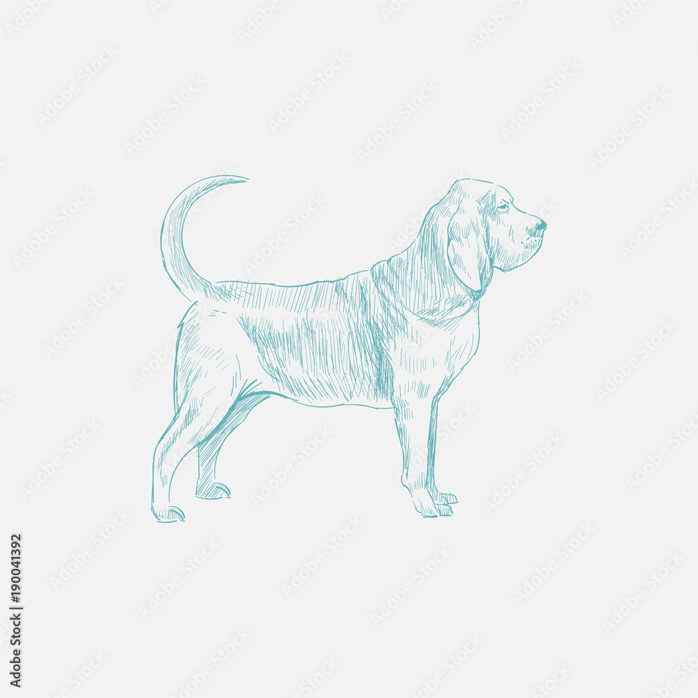 狗的插图绘画风格