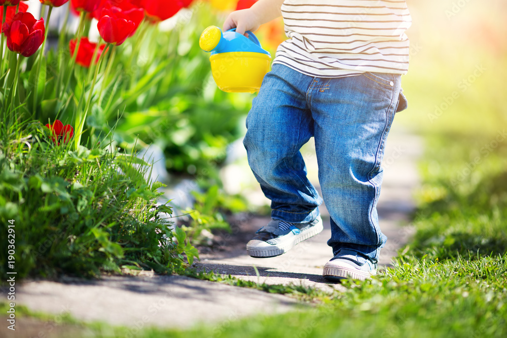 美丽的春天，一个小孩在花坛上的郁金香旁散步