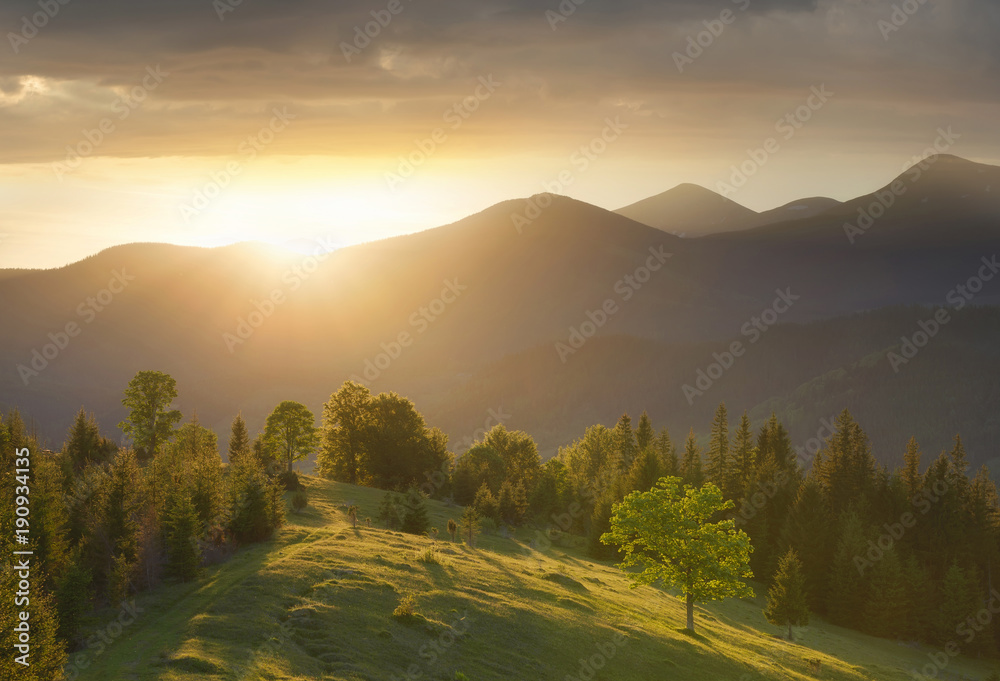 日落时的山谷。夏季美丽的自然景观