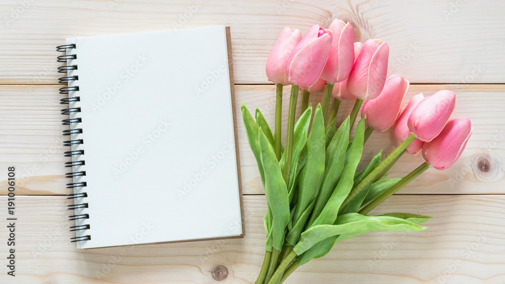 春花背景，美丽的粉红色郁金香，空白开卷模型模板，带副本sp