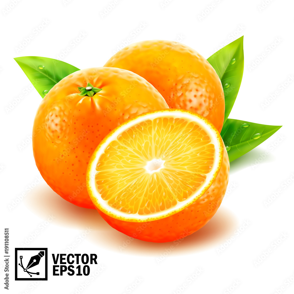 逼真的矢量集新鲜的整片橙子和带叶子和露珠的切片橙子。可编辑手柄