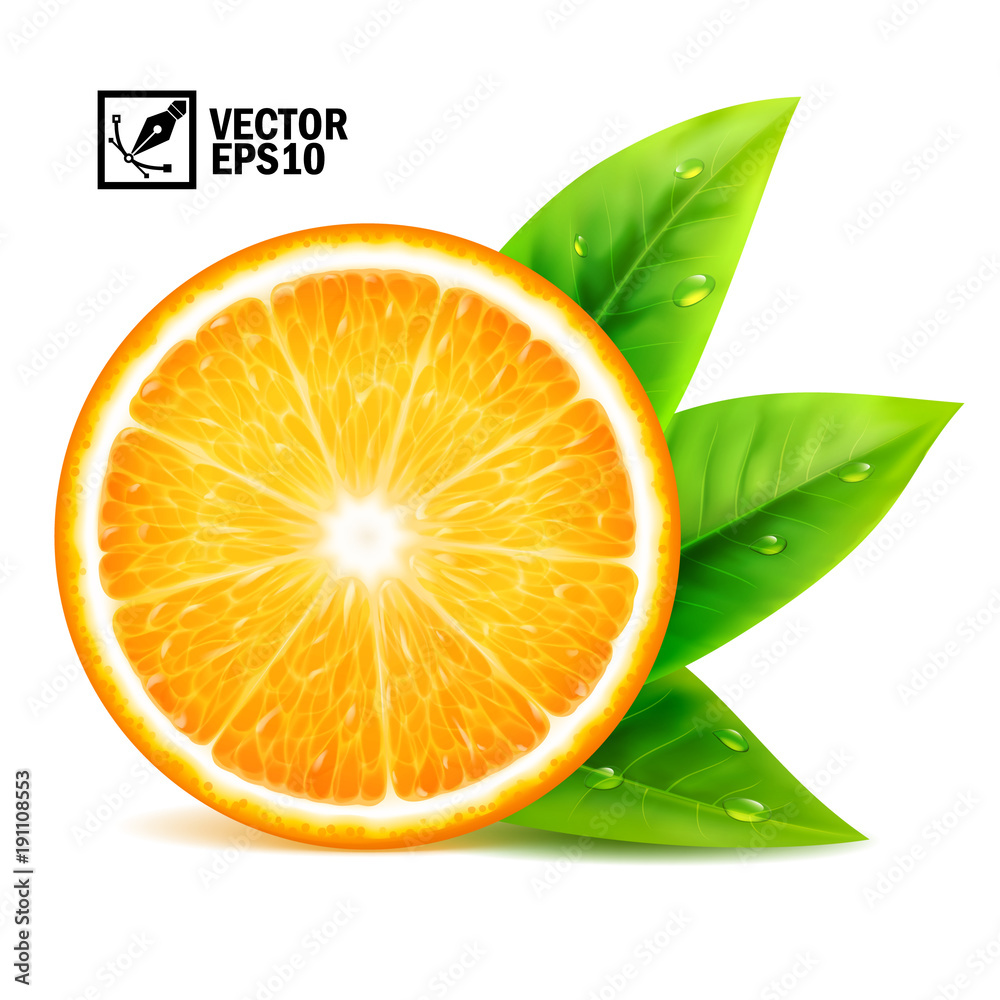 逼真的矢量元素集：一片带叶子和露珠的新鲜橙子。可编辑手工制作