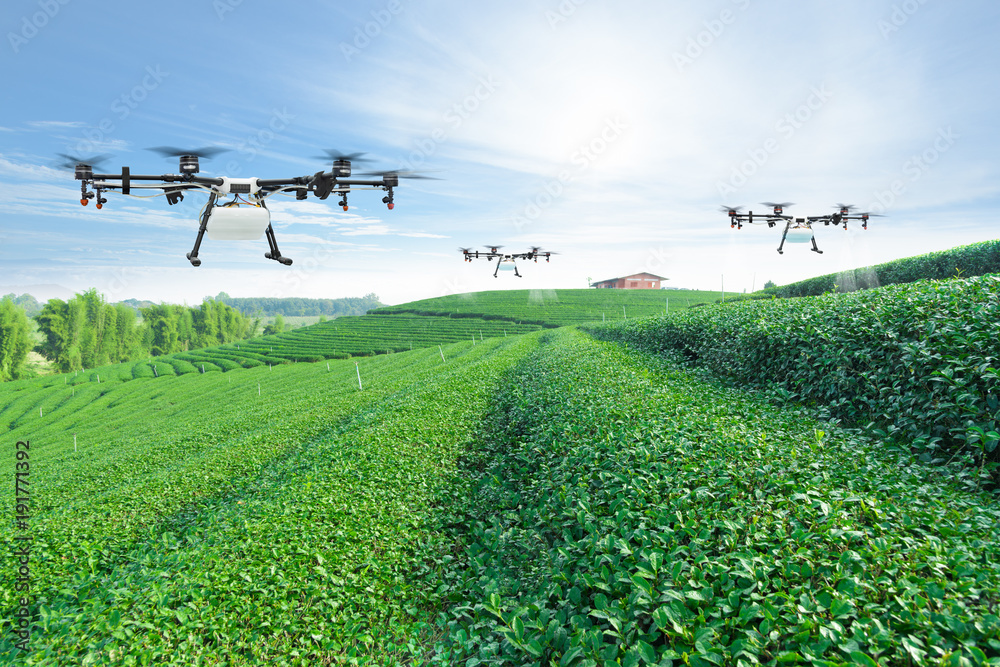 农业无人机在绿茶地上喷洒肥料，智能农场4.0概念