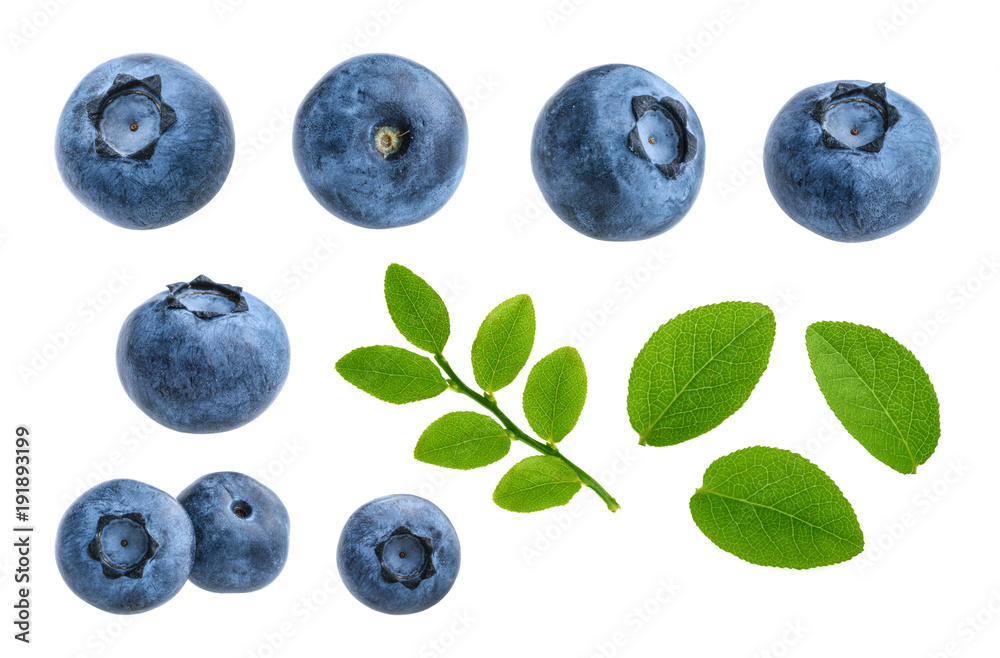 蓝莓在白色背景下隔离，无阴影设置