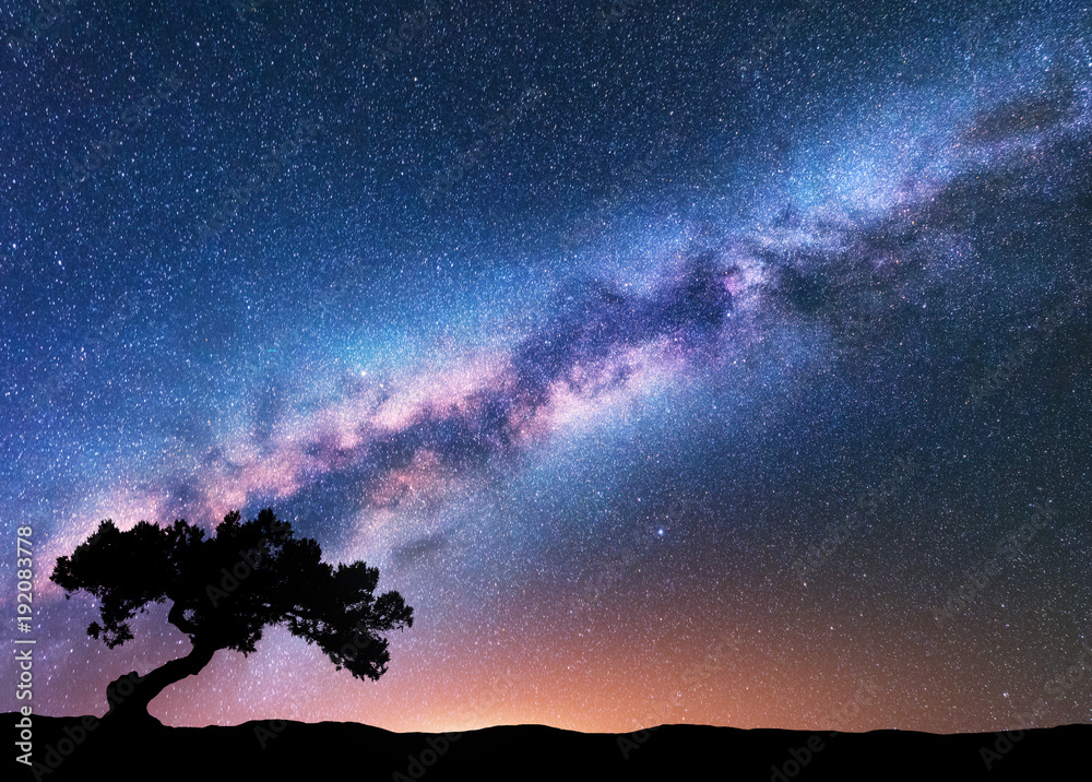 Milky Way with alone old crooked tree on the hill. Colorful night landscape with bright milky way, s