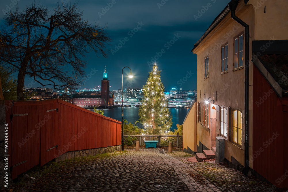 Historic city center of Stockholm with town hall and Christmas Tree in twilight, Sweden