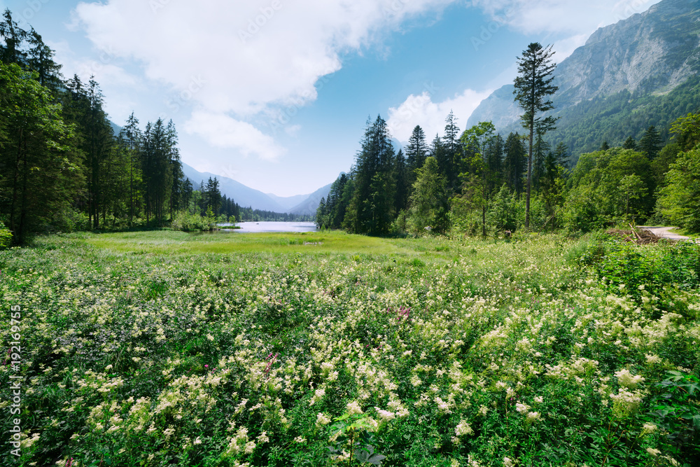 欧洲奥地利阿尔卑斯山Hintersee湖上阳光明媚的夏日。风景摄影