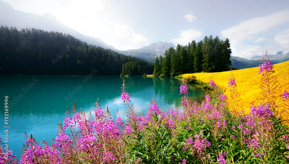 Amazing sunny day at Champferersee lake in the Swiss Alps. Silvaplana village, Switzerland, Europe. 