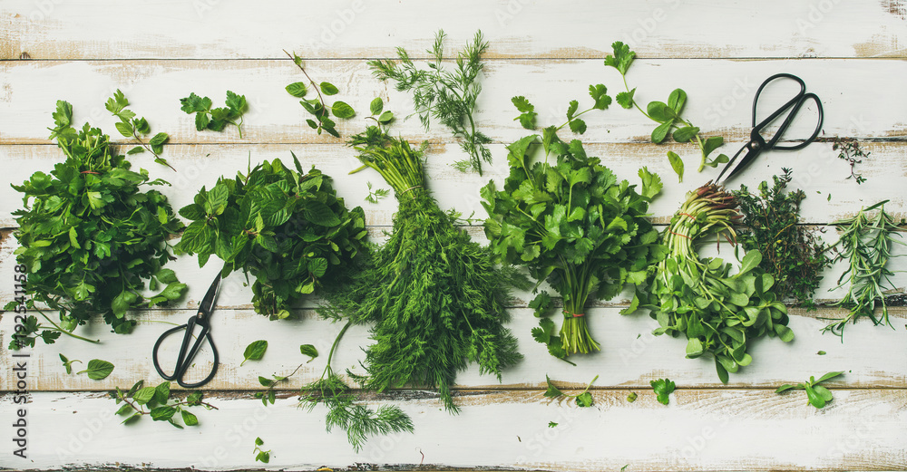 各种新鲜绿色厨房草本植物的扁平组合。香芹、薄荷、dill、香菜、迷迭香，等等。