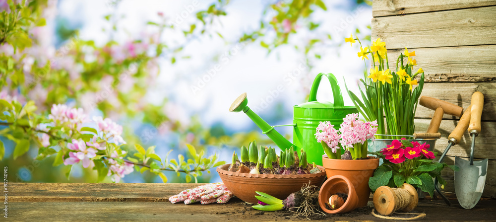 园艺工具和露台上的春花