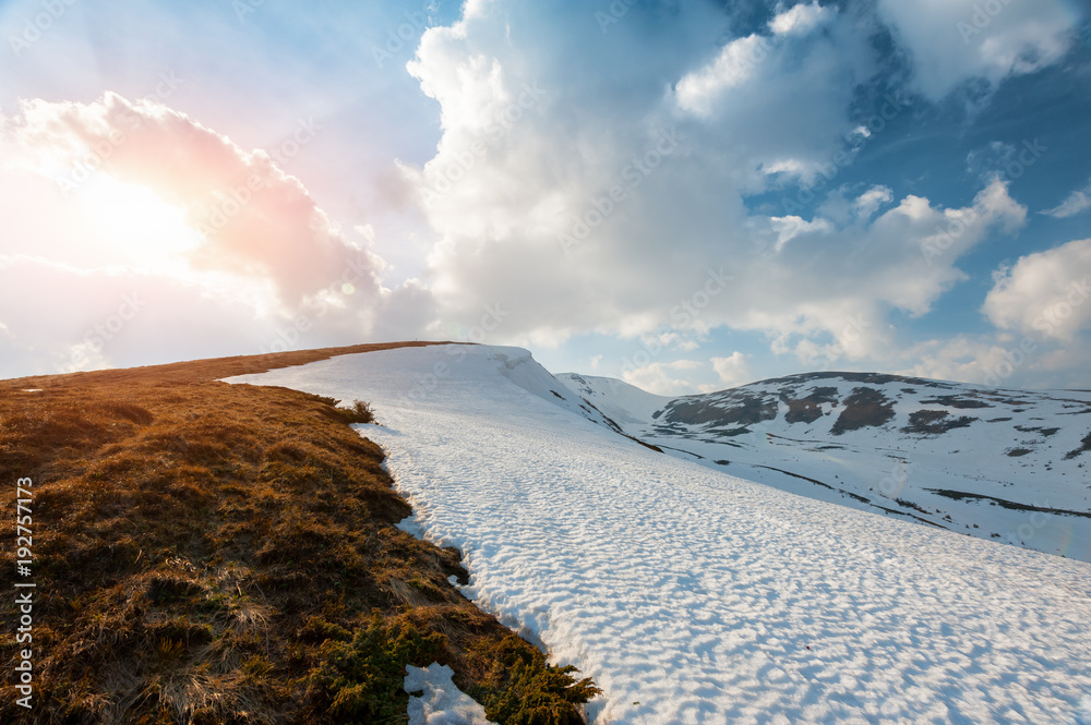 美妙的春天景观，雪山在傍晚的阳光下闪闪发光。喀尔巴阡山。特拉