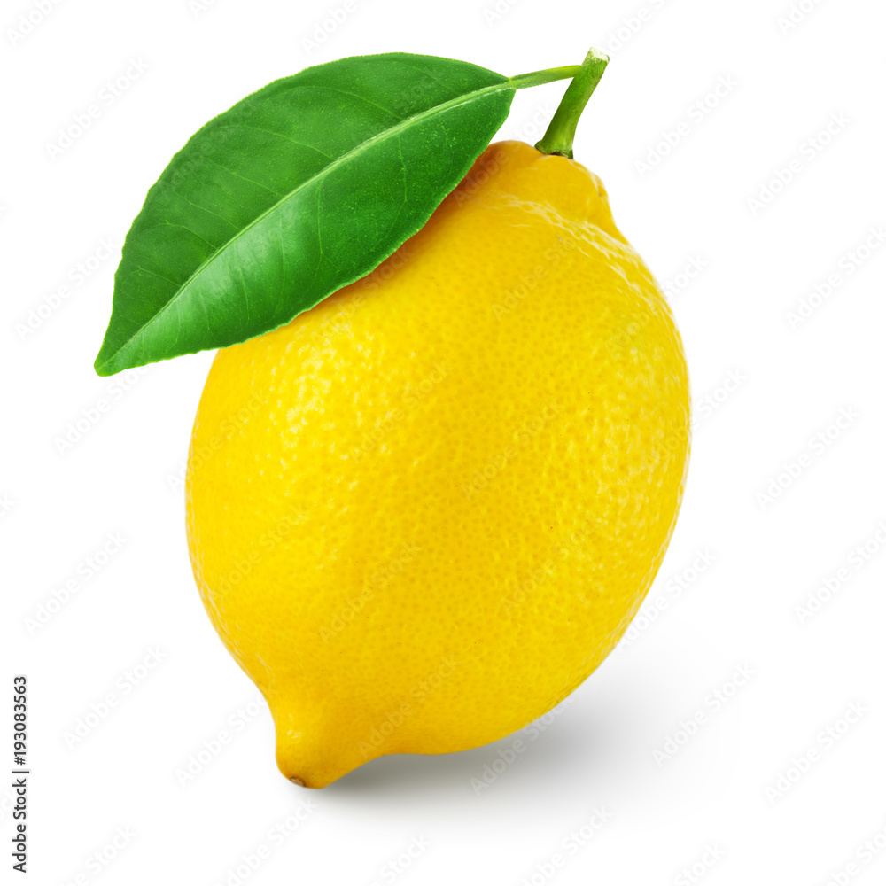 柠檬叶果