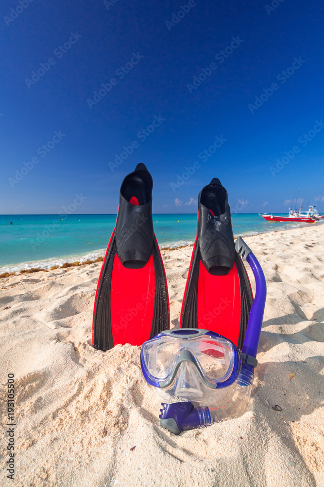 墨西哥热带海滩上的浮潜鳍和面具