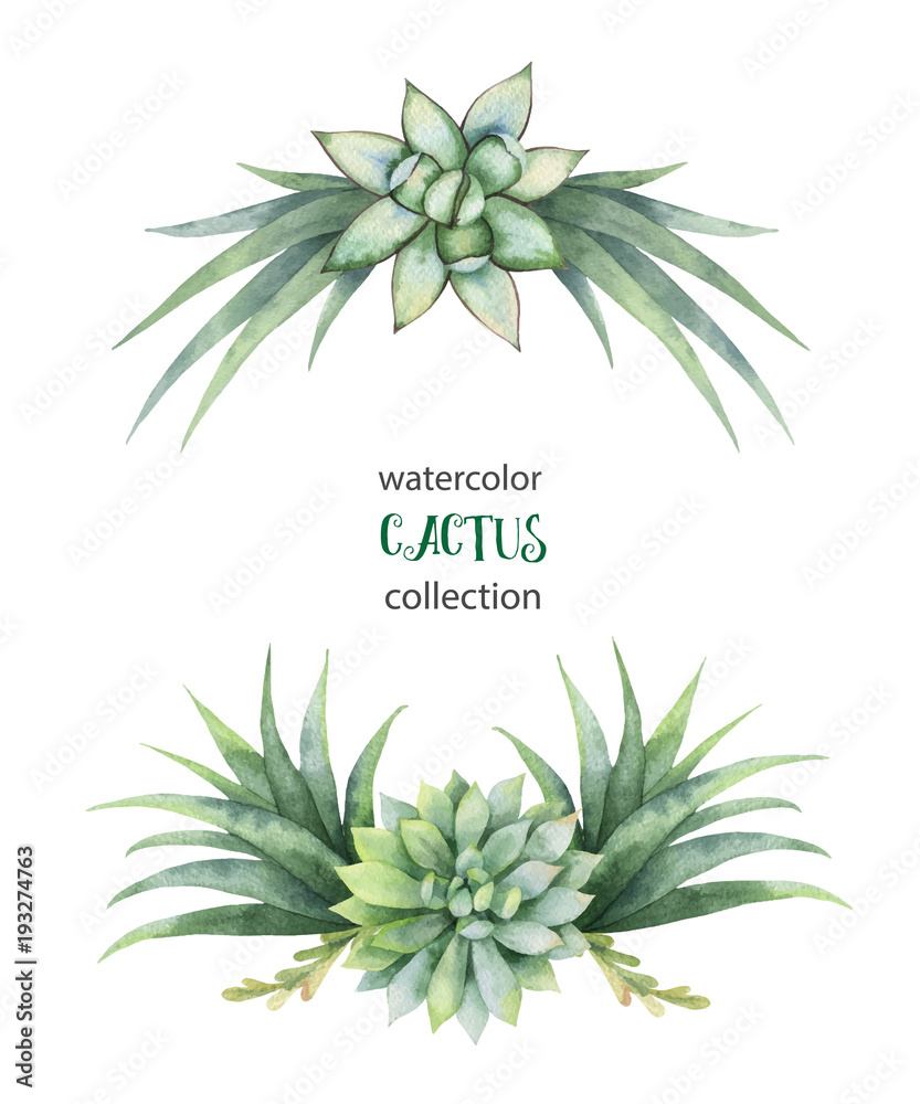 Watercolor vector wreath of cacti and succulent plants isolated on white background.