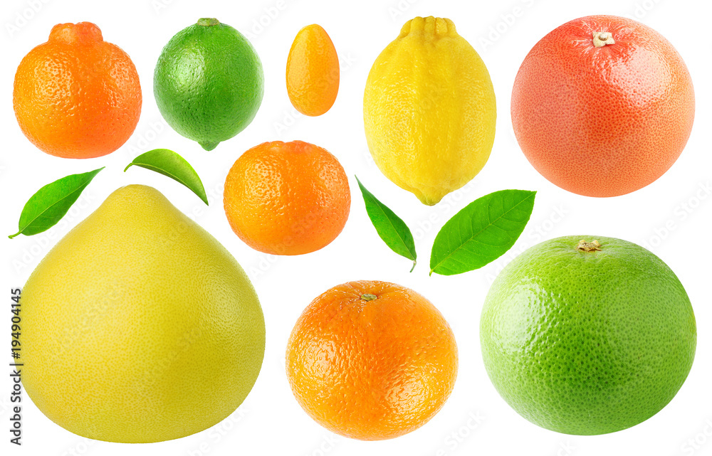 独立柑橘类水果系列。克莱门汀、酸橙、柚子、金桔、橘子、柠檬、橙子、粉色
