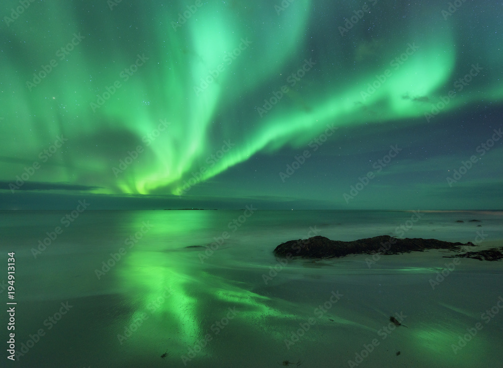 海上极光。挪威罗弗敦群岛的北极光。带极地灯光的星空。夜晚l