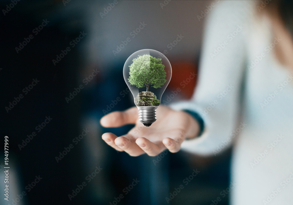 Albero in lampadina, eco-sostenibilità, energia rinnovabile