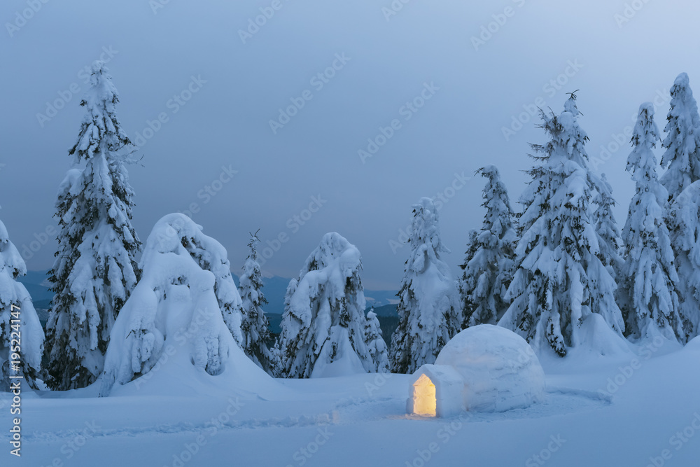冬季喀尔巴阡山脉的雪冰屋从内部发光。前夜白雪覆盖的冷杉