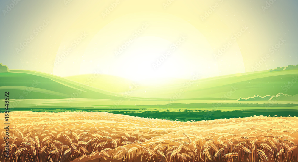 夏季景观，背景是成熟的小麦田，山丘和山谷。光栅插图