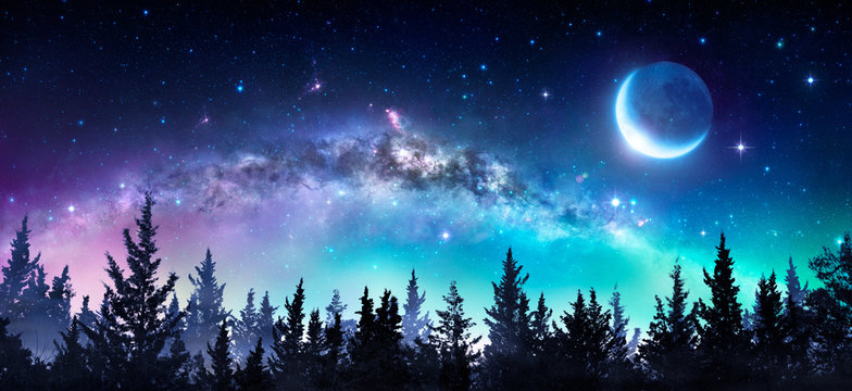 夜林中的银河与月亮