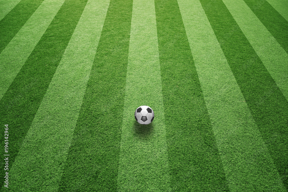 阳光明媚的绿色足球草地上有足球。
