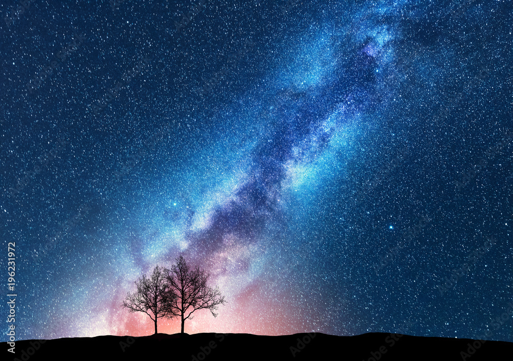 银河系星空下的树木。太空背景。h上孤独树木的夜景